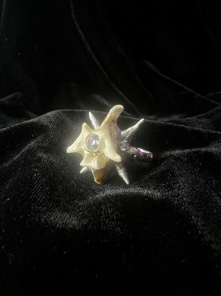 Vertebral Burst Ring