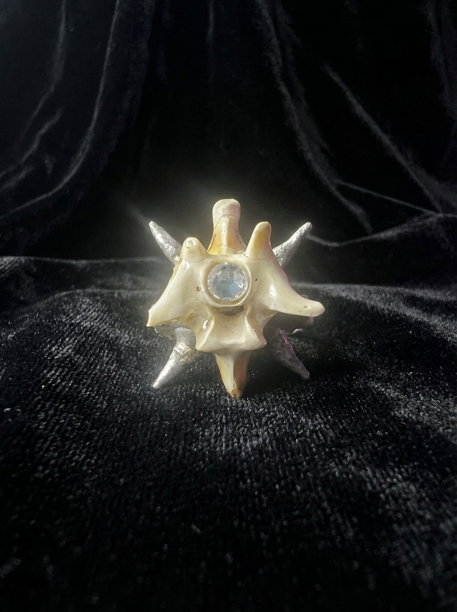 Vertebral Burst Ring